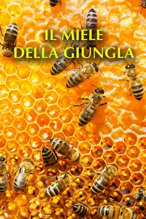 Il miele della giungla