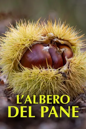 L’albero del pane