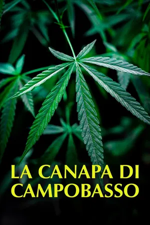 La canapa di Campobasso