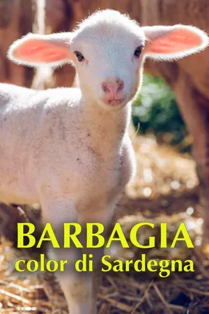 Barbagia color di Sardegna