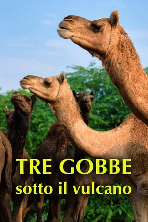 Tre gobbe sotto il vulcano