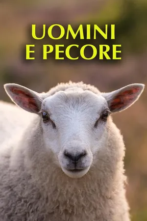 Uomini e pecore