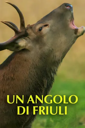 Un angolo di Friuli