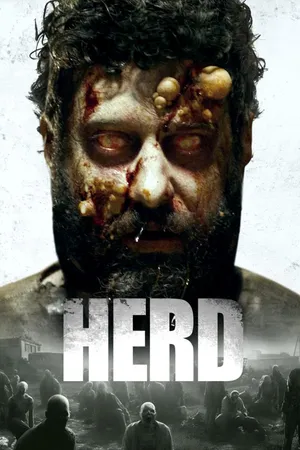 Herd