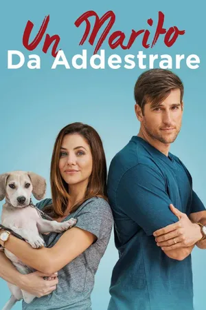 Un marito da addestrare