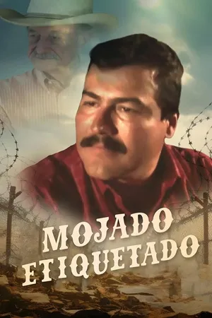 Mojado Etiquetado