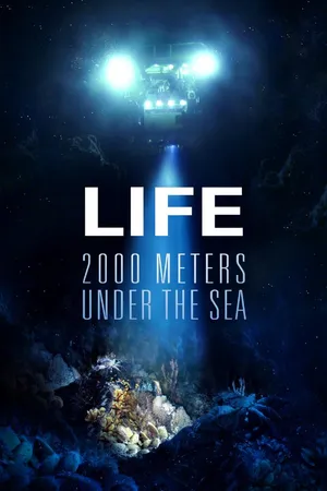 Life 2000 Meters under the Sea