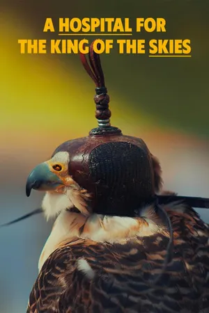 A Hospital for the king of the Skies