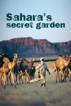 Sahara's Secret Garden