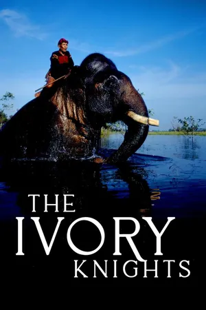 Ivory Knight