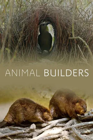 Animales constructores