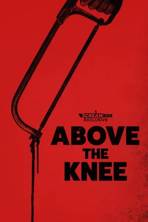 Above The Knee