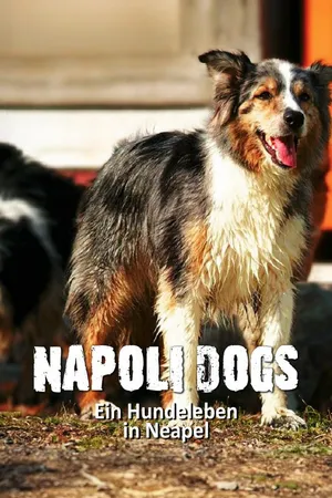 Napoli Dogs - Ein Hundeleben in Neapel