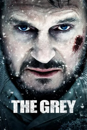 The Grey