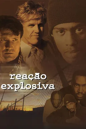 Reação Explosiva