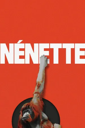 Nénette
