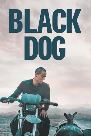 Black Dog