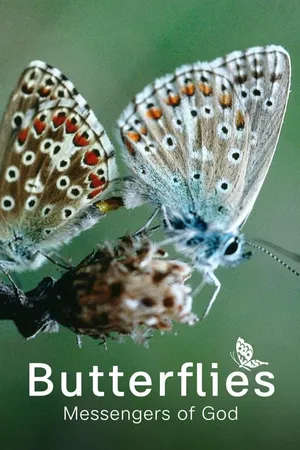 Butterflies - Messengers of God