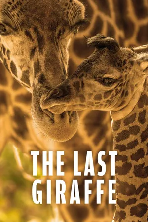 The Last Giraffe
