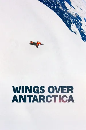 Wing over Antarctica