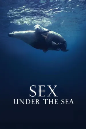 Sex Under the Sea