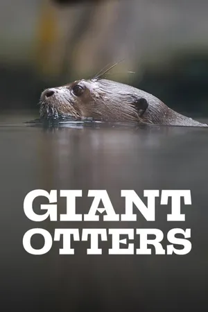 Giant Otters