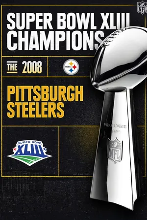 Super Bowl Champions - 2008 Pittsburgh Steelers