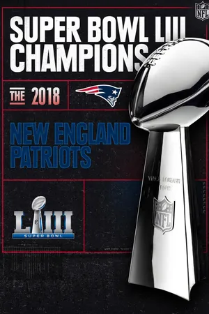 Super Bowl Champions - 2018 New England Patriots