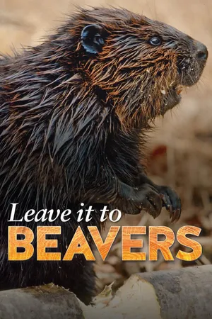 Leave it to Beavers