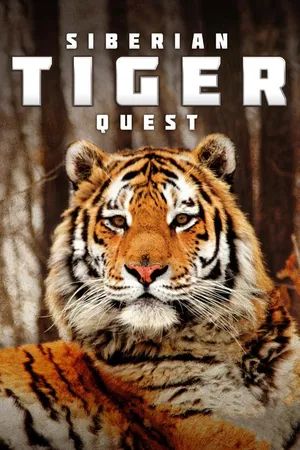Siberian Tiger Quest