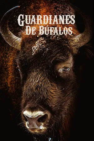 Guardianes de Búfalos
