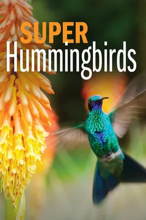 Super Hummingbirds