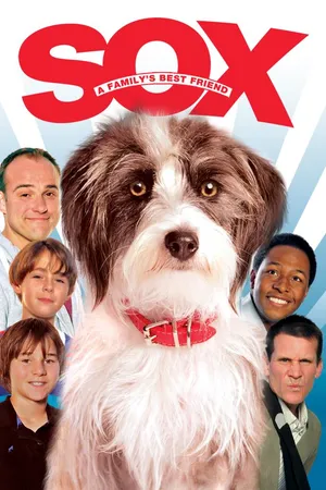 Sox: A Family's Best Friend