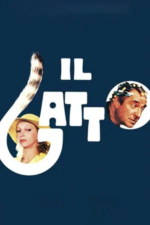 Il gatto