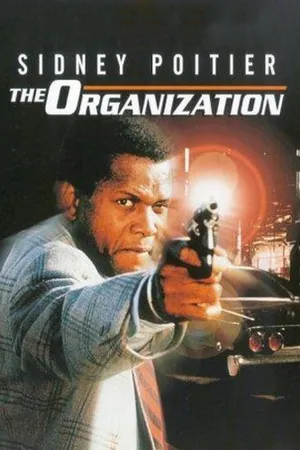 The Organization