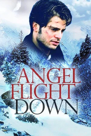 Angel Flight Down