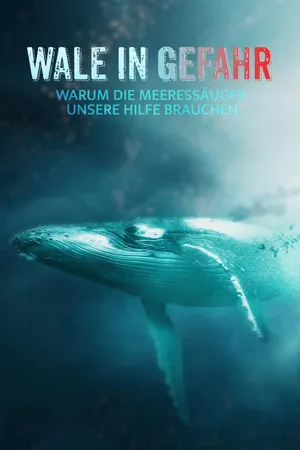 Wale in Gefahr - warum die Meeressäuger unsere Hilfe brauchen
