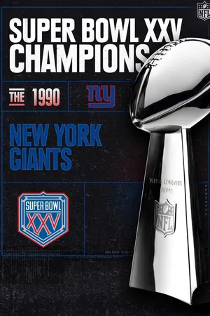 Super Bowl Champions - 1990 New York Giants