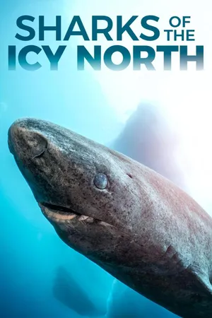 Sharks of the Icy North