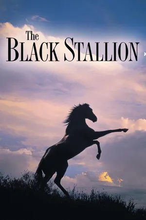 The Black Stallion