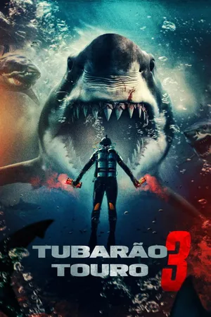 Tubarão Touro 3