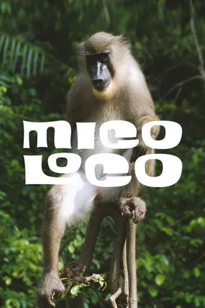 Mico loco