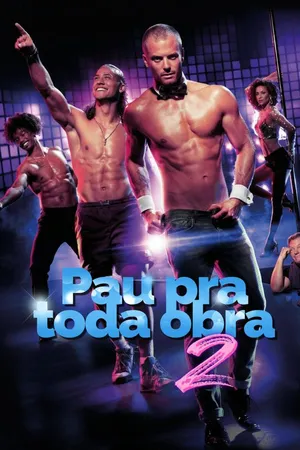 Pau pra toda obra 2