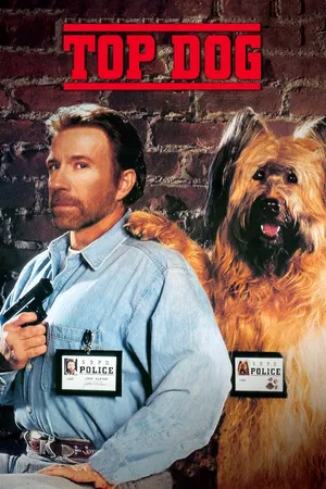 Top Dog