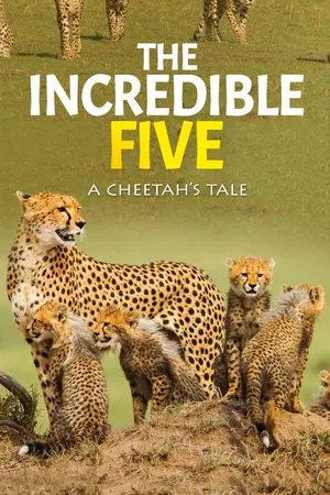 The Incredible Five - A Cheetah's Tale