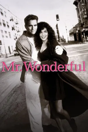 Mr. Wonderful