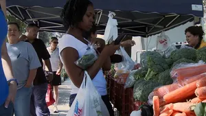 In Organic We Trust