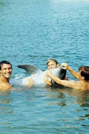Flipper