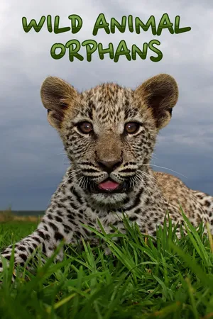Wild Animal Orphans