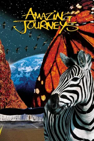 Amazing Journeys